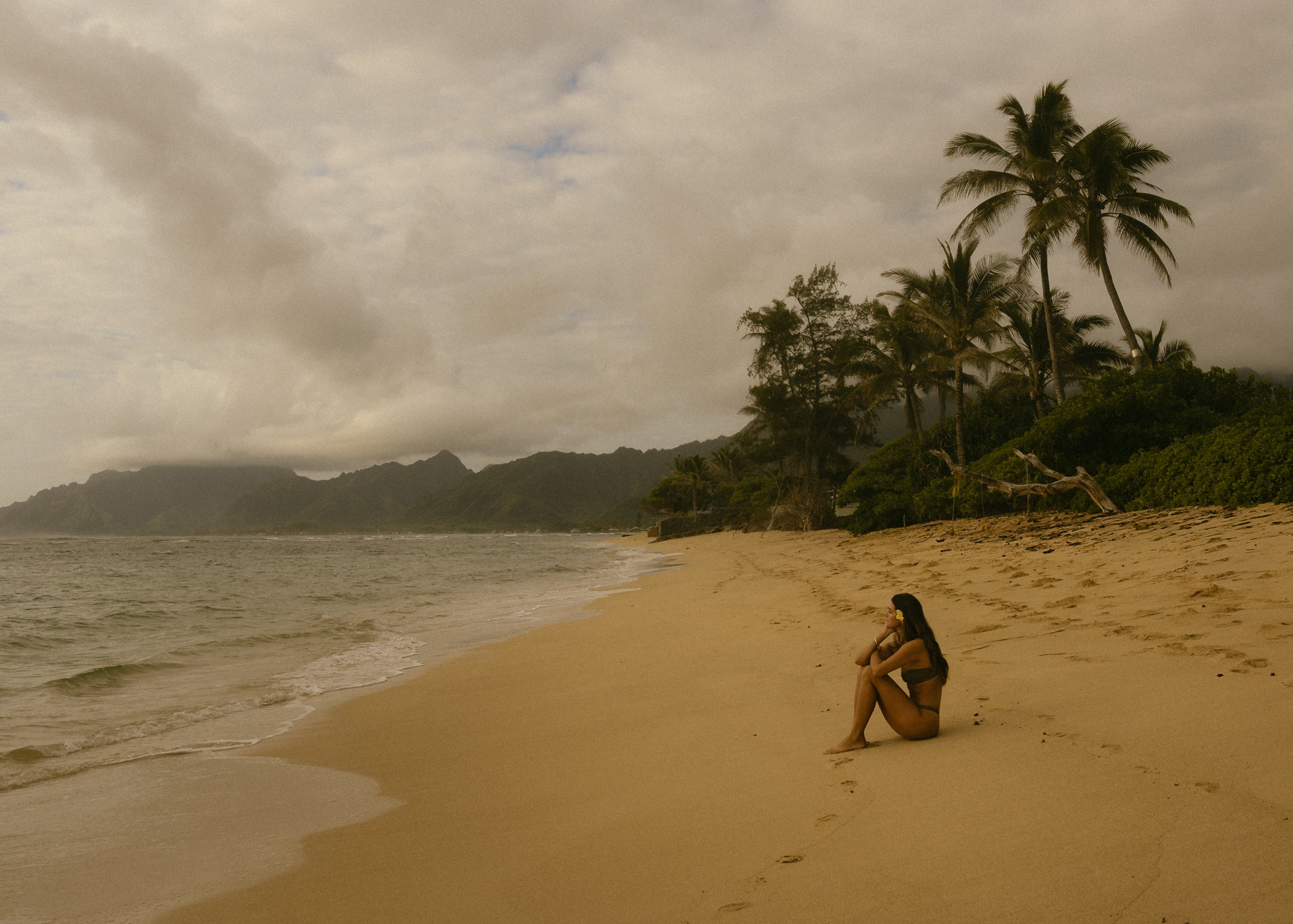 Person sitting on a beach with palm trees and mountains in the background under a cloudy sky.